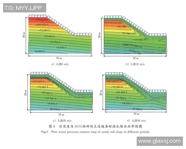 足球明星腿部横截面模型研究及其对运动表现的影响分析